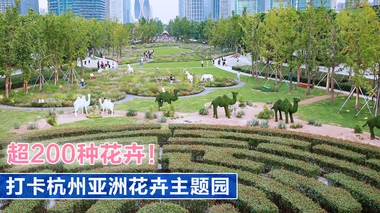 超200种花卉！打卡杭州亚洲花卉主题园