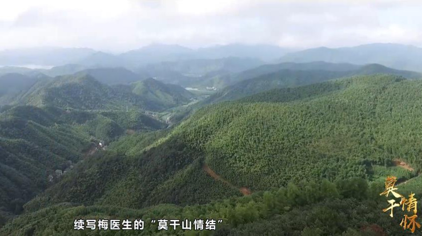 德清民宿莫干情怀
