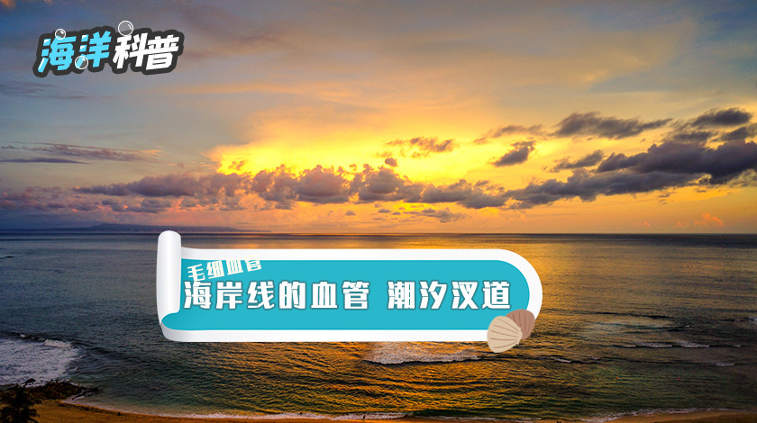 【领克科普会】海岸线的血管 潮汐汊道