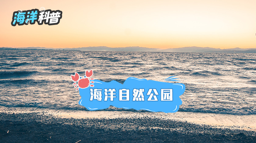 【领克科普会】海洋自然公园