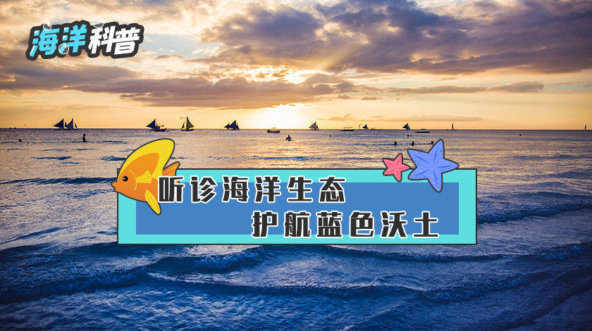 【领克科普会】听诊海洋生态 护航蓝色沃土