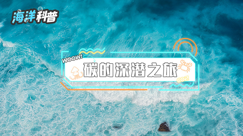 【领克科普会】碳的深浅之旅