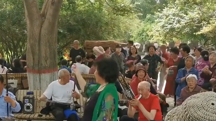 老年人出行安全事项