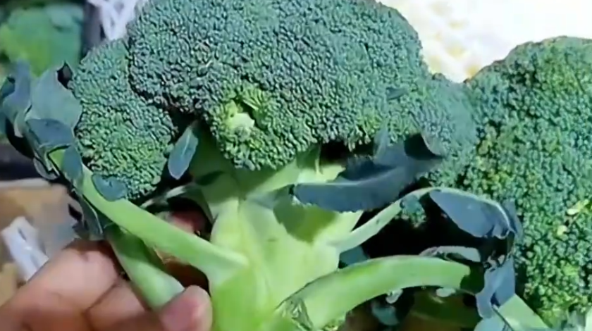 买菜技巧