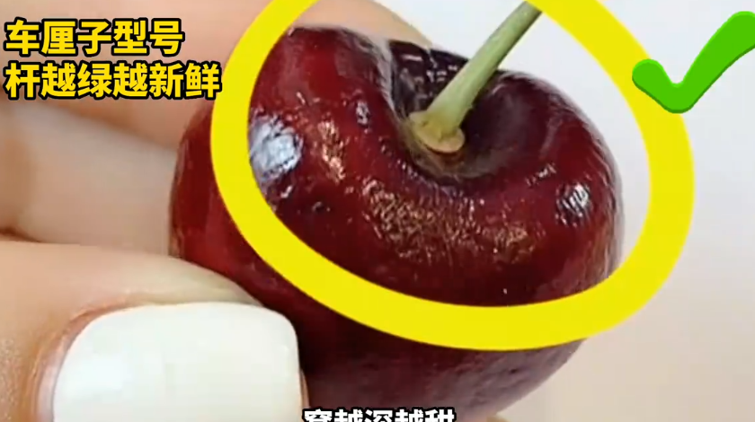 水果怎么挑才好吃
