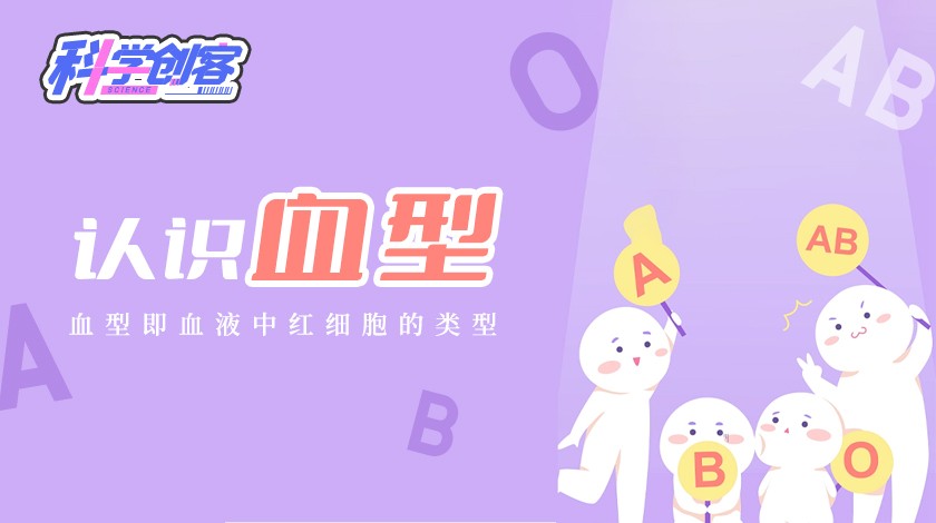 科创课《认识血型》