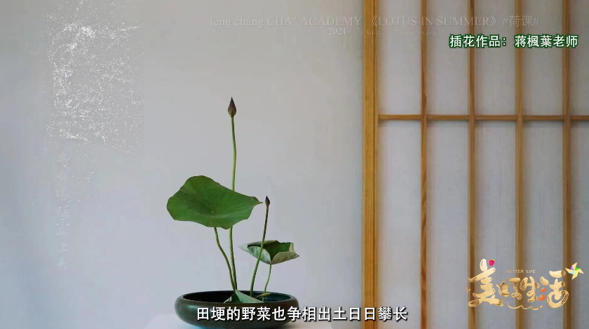 美好生活第13期