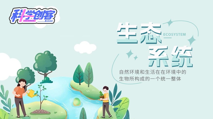 科创课《生态系统》