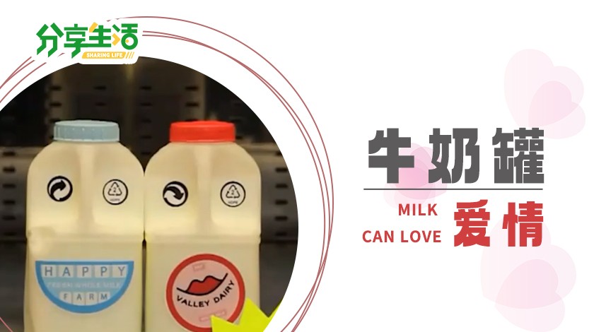 牛奶罐的爱情