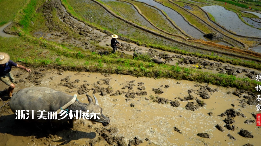 坑根石寨欢迎您