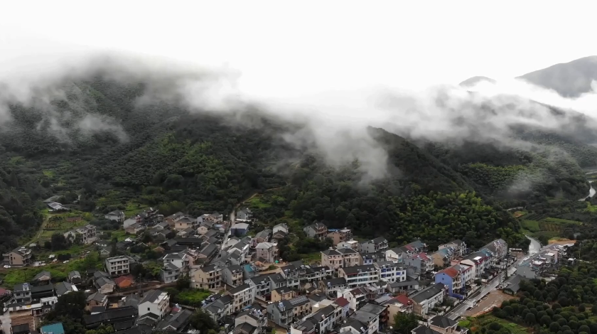 村里来了艺术家