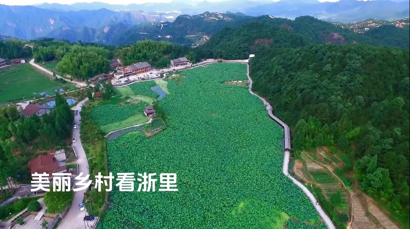 美丽乡村看浙里——文成舞阳村