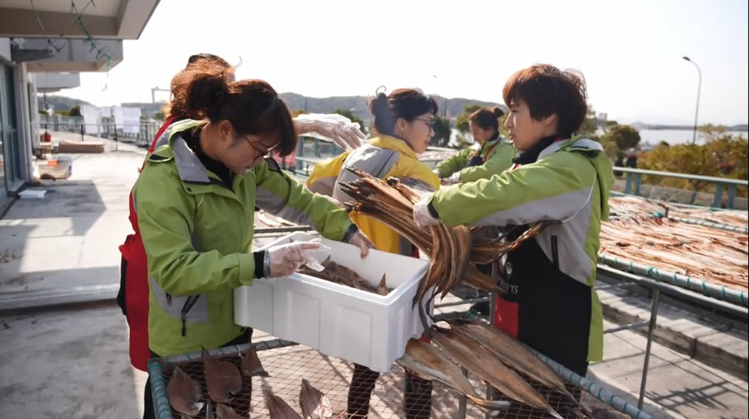 海滨风干鱼