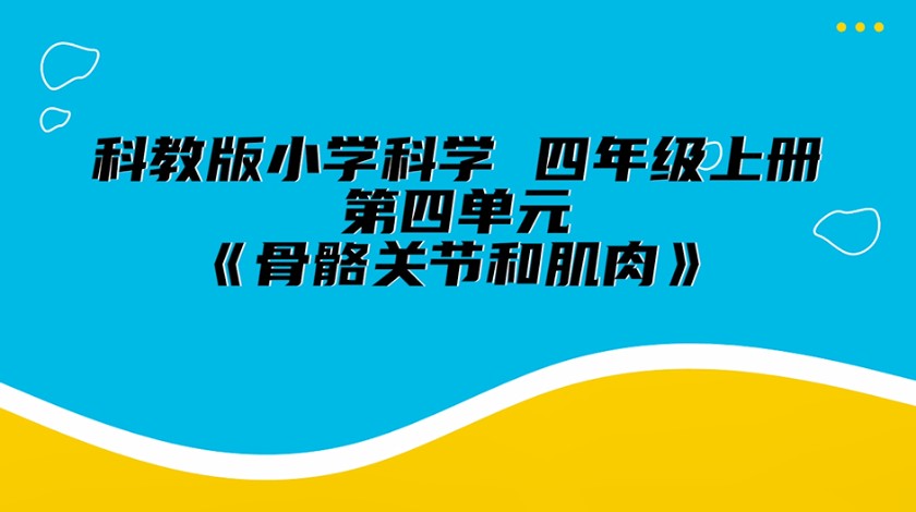 四上科学：骨骼关节和肌肉