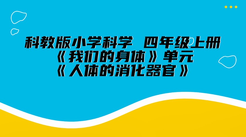 四上科学：人体的消化器官