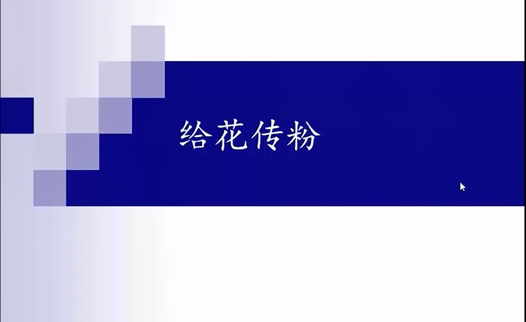 四下科学：给花传粉