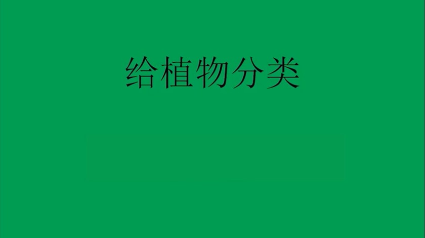 六上科学：给植物分类