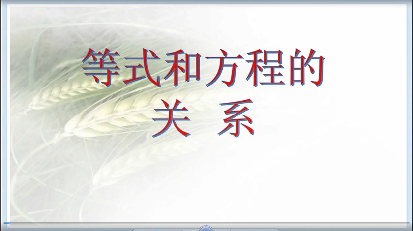 五年级<font color='red'>数学</font>-等式和方程的关系