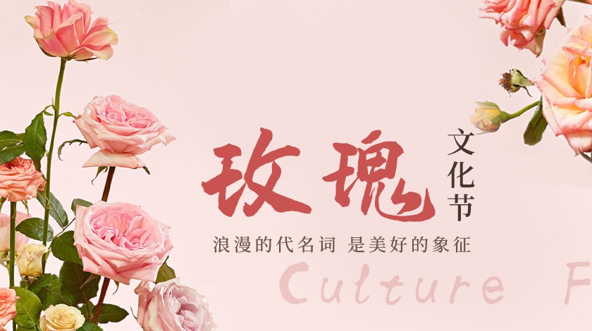 玫瑰文化节