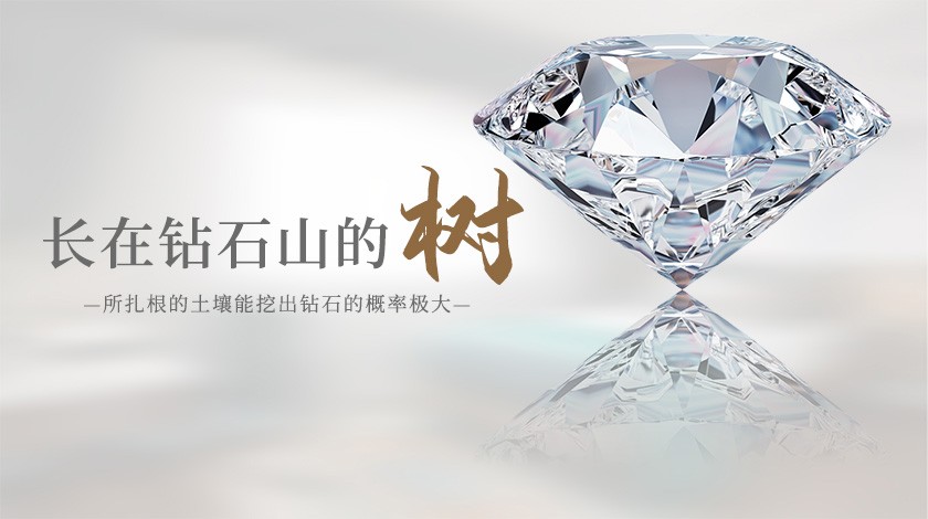 长在钻石山的树