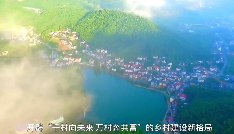 深化千万工程，全面推进乡村振兴